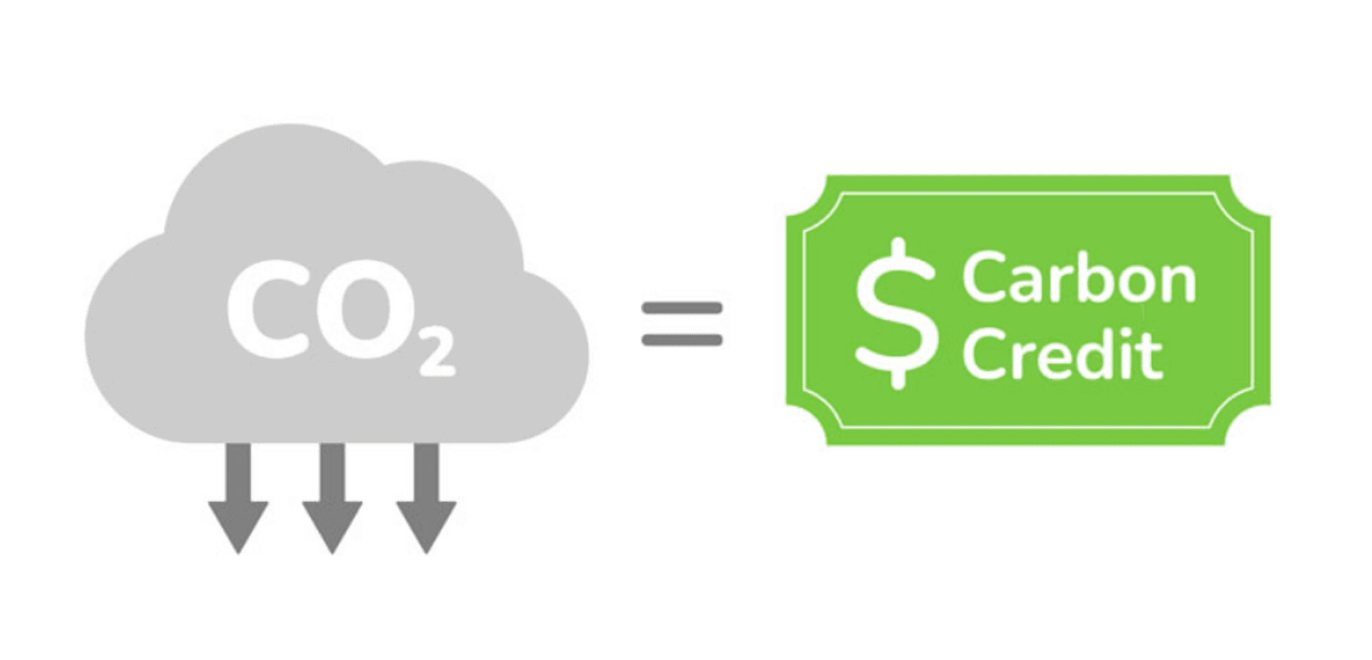 Cover Image for Understanding Carbon Credits: A Comprehensive Guide